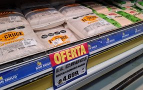 Quesos en fábrica: Precios “planchados” y apertura del festival de descuentos y ofertas