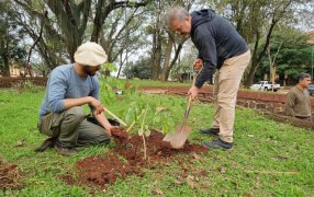 En el Día del Árbol, Apóstoles planta el futuro