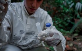 Recorren los barrios posadeños con el operativo de fumigación y descacharrado