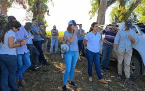 Región Sur de Santa Fe: Giras agronómicas CREA, encuentros a campo de alto valor agronómico y abiertos al público