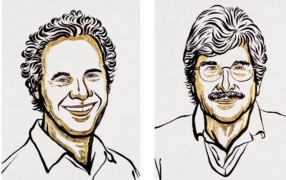 El Premio Nobel de Medicina 2024 fue otorgado a los estadounidenses Victor Ambros y Gary Ruvkun: Los científicos recibieron el galardón por el descubrimiento del microARN, un principio fundamental que regula la actividad de los genes