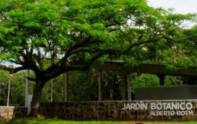 Posadas: Paseo guiado por el Jardín Botánico