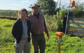 Estación meteorológica para yerba mate