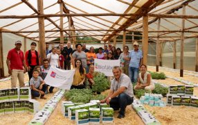 Innovación tecnológica para ampliar la producción de tomate en escala en Misiones