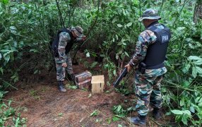 Misiones: Prefectura Naval Argentina secuestró más de 40 kilos de marihuana, la droga tiene un valor cercano a los 100 millones de pesos