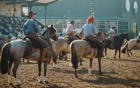 Fin de semana único en “Nuestros Caballos” en La Rural: Con actividades para toda la familia, puestos gastronómicos, productos regionales, capacitaciones y muestras