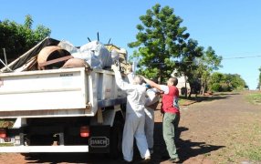 Dengue: En Posadas realizan visitas domiciliarias para concientizar y detectar casos febriles en los distintos barrios
