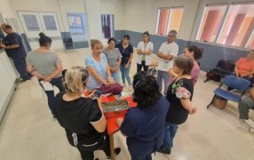 Misiones: Actualización Perinatal 2024, cerca de trescientos profesionales del sistema público de salud participaron del Programa