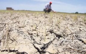 Hasta 2024 por la sequía: Declararon emergencia agropecuaria en Jujuy, Neuquén y Salta