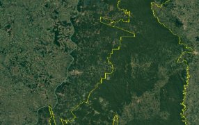 “Nos estamos quedando sin monte, sin agua y sin suelo productivo”