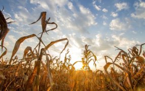 Se afirma la “Niña débil”: ¿Qué se espera para Noviembre y el verano?