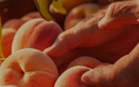 En Abril, las exportaciones de las economías regionales cayeron 1,5% en dólares y aumentaron 2,8% en toneladas