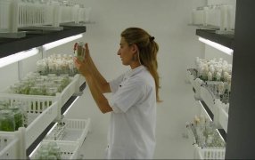 Tecnología de exportación: Una empresa argentina logró un hito en Brasil con un bioinsecticida