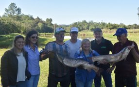 Apóstoles: En la chacra de un productor piscicultor del Municipio se realizó la tradicional cosecha de peces a pie de estanque, siendo esta unas de las actividades al inicio de Semana Santa