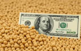 Bombazo: Para sostener el dólar, habrá retenciones cero para todos los granos hasta el 31 de Octubre