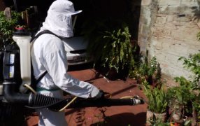 Sólo 18 casos: La campaña misionera de prevención y vacunación venció al Dengue, la vacunación está disponible para personas de 20 a 59 años