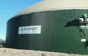 Tether, una de las empresas cripto más grandes del mundo, compró el 9,8% de Adecoagro