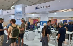 En Expoagro: Allaria Agro invierte en el proyecto pionero de conectividad digital liderado por Telecom