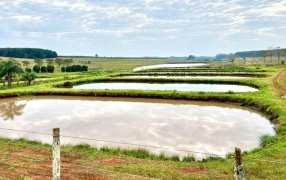 Misiones: Se consolida la piscicultura, en una agenda de trabajo conjunto con la Subsecretaría de Recursos Acuáticos y Pesca de la Nación y la Provincia