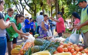 Posadas: Conocé los combos y promociones de las Ferias Francas para armar ensaladas