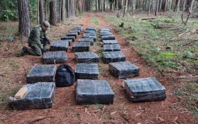 Gendarmería Nacional secuestró más de una tonelada de marihuana