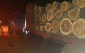 Misiones: Secuestraron un cargamento de madera nativa robada y arrestaron a los responsables