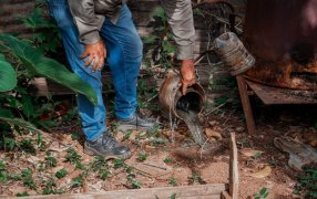 Prevención y concientización para erradicar el mosquito: Operativos preventivos del Dengue en toda la ciudad de Posadas