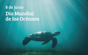 El Día Mundial de los Océanos, de gran importancia ambiental, se celebra el 8 de Junio