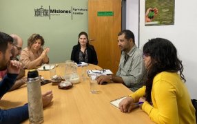 Reunión de coordinación entre la Secretaría de Agricultura Familiar de la provincia de Misiones y el Consorcio del Proyecto “Promover Vías de Desarrollo Bajas en Carbono y Resilientes al Clima para Argentina”