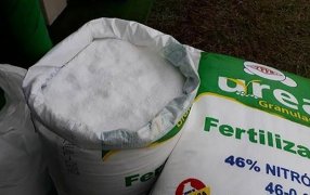 Se aprobó el nuevo procedimiento para el registro de productos fertilizantes