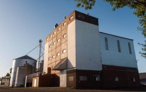 Bapan Argentina elabora harinas orgánicas certificadas y augura un gran futuro en el segmento