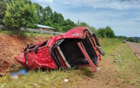 Misiones: Dos hombres fallecieron tras un despiste en la Ruta 221