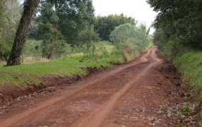 ¿Cómo estará el tiempo este día lunes 13 de Enero en la provincia de Misiones?