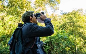 Misiones: Fin de semana de avistaje de aves en el Municipio de Corpus Christi