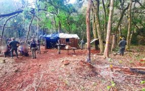 Desmantelaron un campamento donde realizaban apeo ilegal, hay tres detenidos