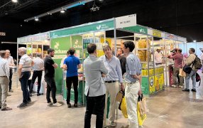 Yerba mate en la Feria Nacional de Negocios de Golosinas, Alimentos y Bebidas