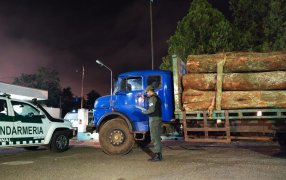 Gendarmería Nacional realizó procedimientos donde se incautó madera nativa y mercadería sin aval aduanero