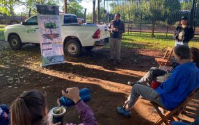 Árboles para producción sustentable en yerbales