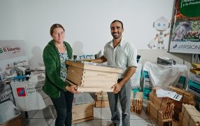 Misiones: Impulsan el desarrollo del sector apícola en la provincia