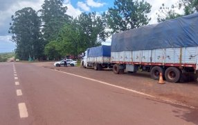 Misiones: Retuvieron tres camiones e incautaron 70.500 kilogramos de granos, ingresados de manera ilegal a la provincia