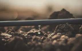 El riego por goteo se anima a lo extensivo: “Es el vector para ampliar la frontera productiva”