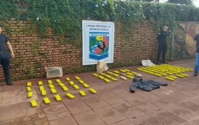 Agentes antinarcóticos de la Policía de Misiones incautaron 77 panes de marihuana ocultos en un pinar