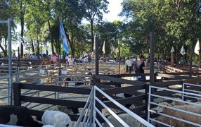 Misiones: Un nuevo remate de ovinos y caprinos tuvo lugar en la cabaña La Armonía en el Municipio de San José