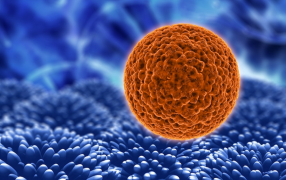 Día Mundial del Cáncer: en Argentina se detecta un caso nuevo cada 4 minutos