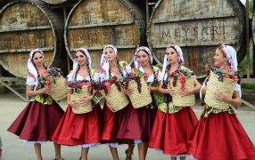 "Festival de la Uva y el Vino" se desarrollará en Azerbaiyán, para promover la producción, y aumentar el potencial de exportación de productos vitivinícolas