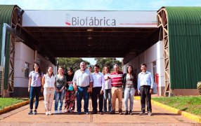 Misiones trabaja con especialistas internacionales para el intercambio de tecnologías en la producción de frutas