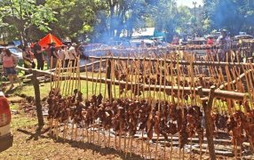 Misiones: En el Municipio de Cerro Corá se realizó la novena edición de la Fiesta del Chivito Serrano, en coincidencia con el 131º aniversario de la localidad con gastronomía, música y exposiciones