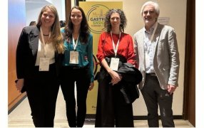 La yerba mate y sus múltiples efectos benéficos en la salud