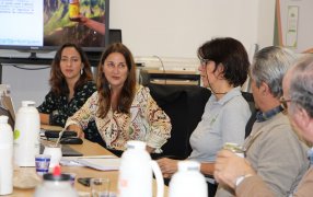 Yerba mate con sombra, la experiencia de Guayakí en el INYM