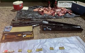 Gendarmería Nacional secuestró carne producto de la caza ilegal, al igual que las armas utilizadas